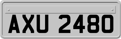 AXU2480