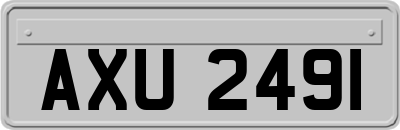 AXU2491