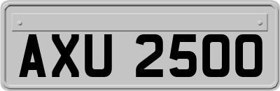 AXU2500