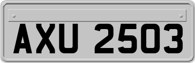 AXU2503