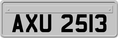 AXU2513