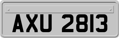 AXU2813