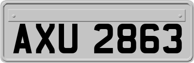 AXU2863