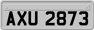 AXU2873