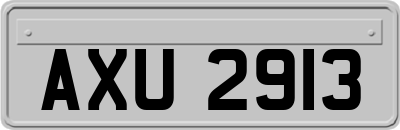 AXU2913