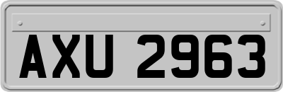 AXU2963