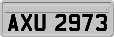 AXU2973