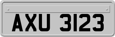 AXU3123
