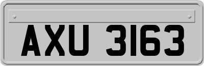 AXU3163