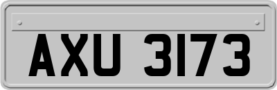 AXU3173