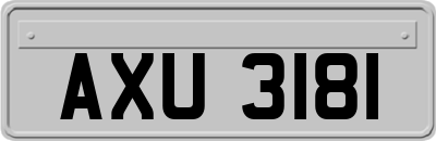 AXU3181