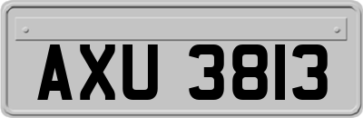 AXU3813
