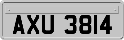 AXU3814