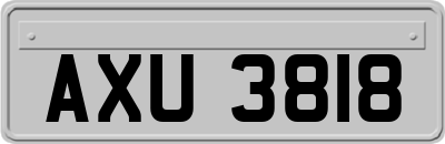 AXU3818