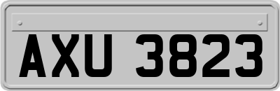AXU3823