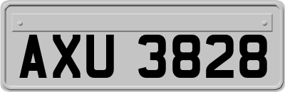 AXU3828