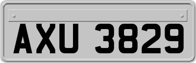 AXU3829