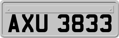 AXU3833