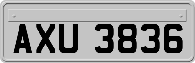 AXU3836