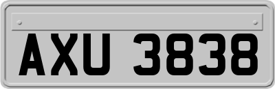 AXU3838