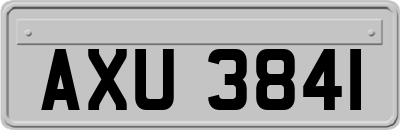 AXU3841