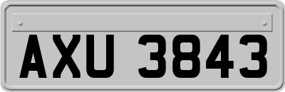 AXU3843