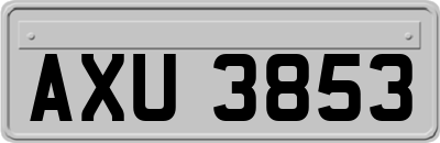 AXU3853