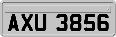 AXU3856