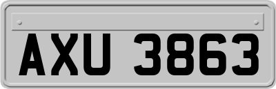 AXU3863