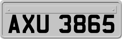 AXU3865