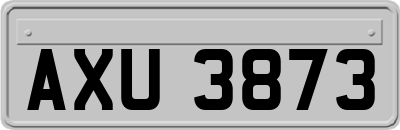 AXU3873