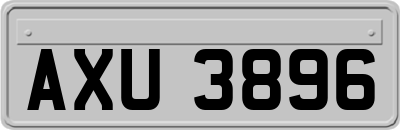AXU3896