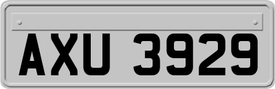AXU3929