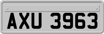AXU3963