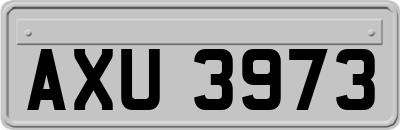 AXU3973