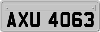 AXU4063