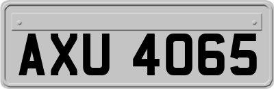AXU4065