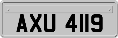 AXU4119
