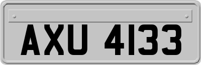 AXU4133