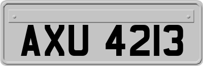 AXU4213