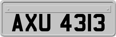 AXU4313