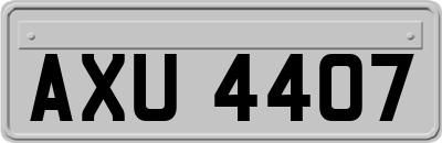 AXU4407