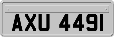 AXU4491