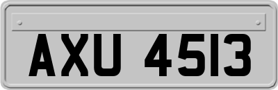 AXU4513