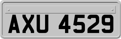 AXU4529