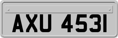 AXU4531