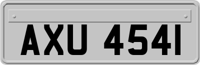 AXU4541