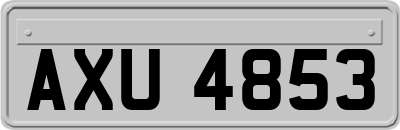 AXU4853