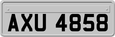 AXU4858