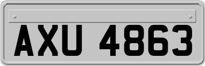 AXU4863